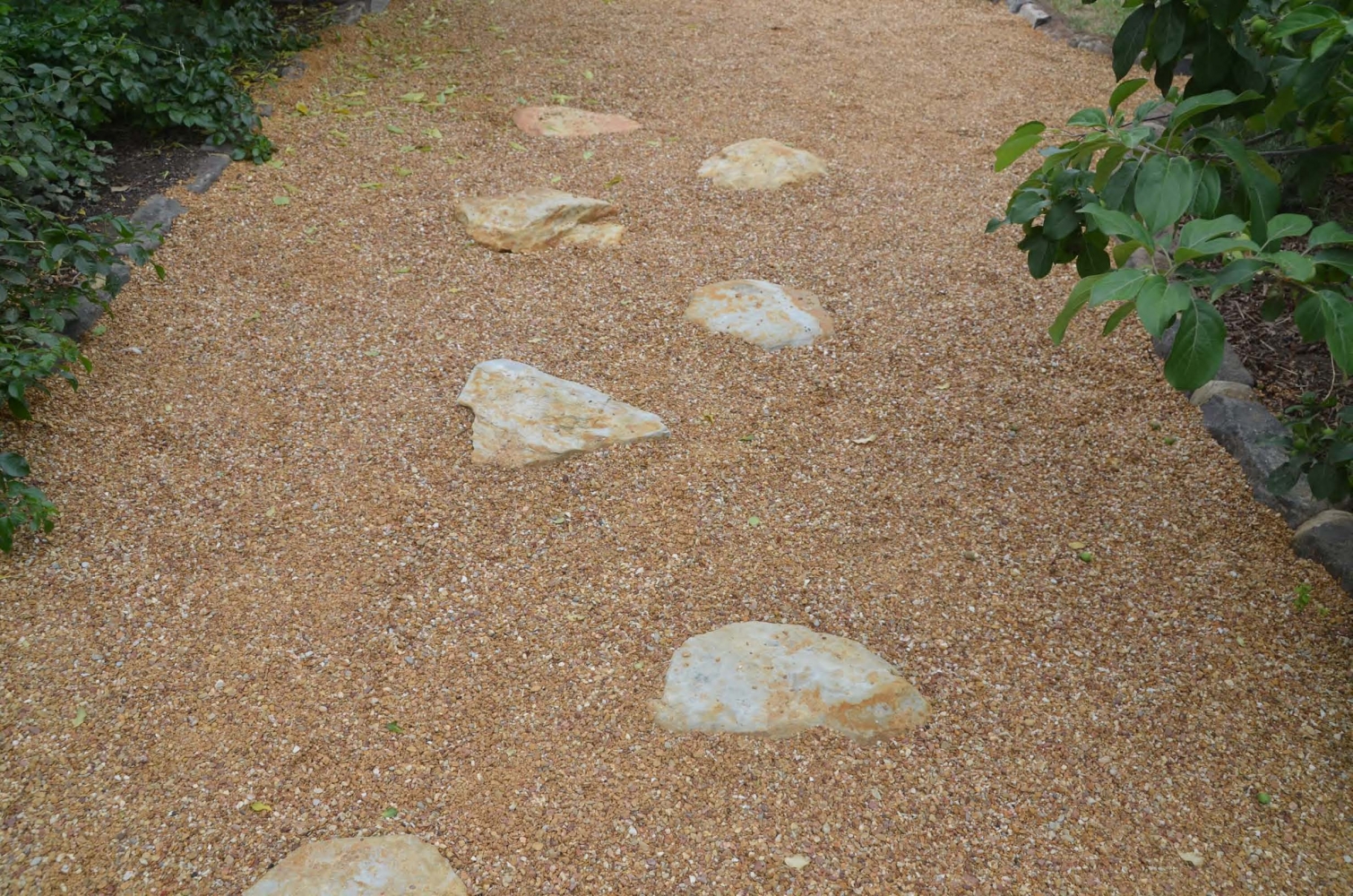 Avoca Pathway with Avoca Oversize Stepping Stones